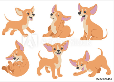 Screen Shot 2019-09-30 at 8.10.57 PM